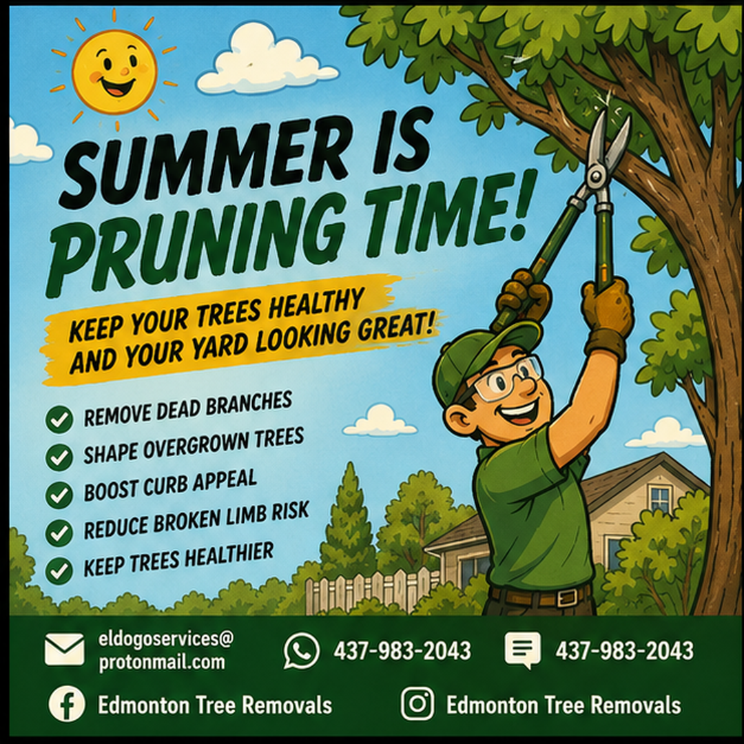 Pruning and trimming service