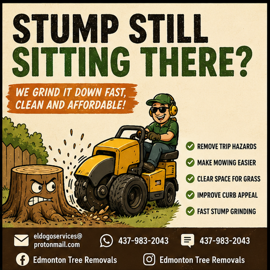 Stump grinding and removal service